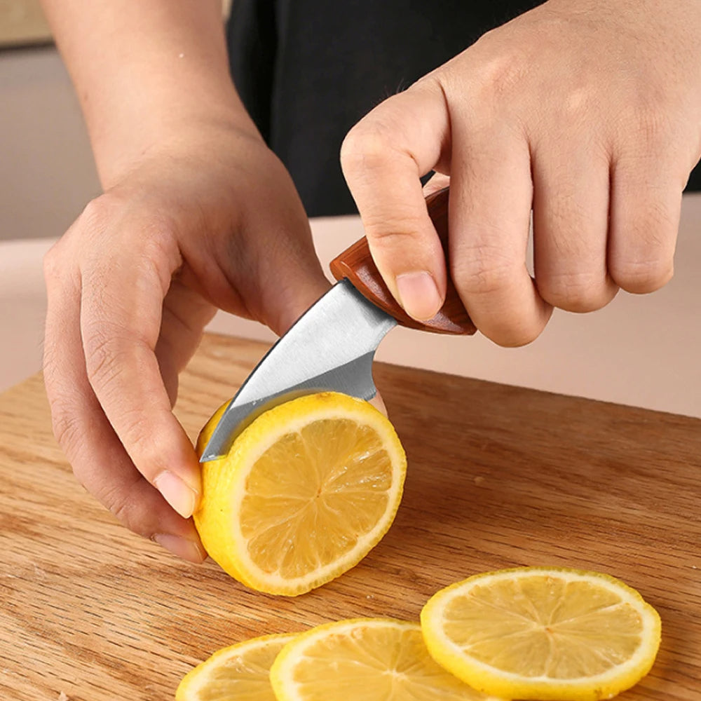 Portable Mini Pocket Knife