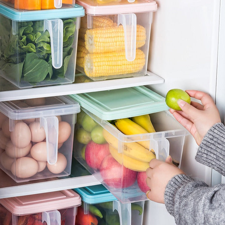 Plastic Fridge Storage Box with Lid & Handle