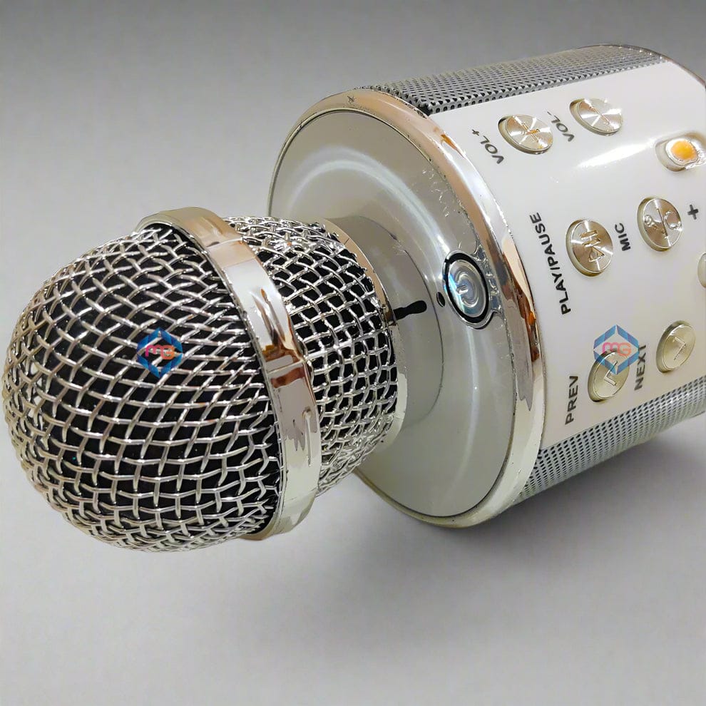 Rechargeable Wireless Bluetooth Speaker & Microphone Mic