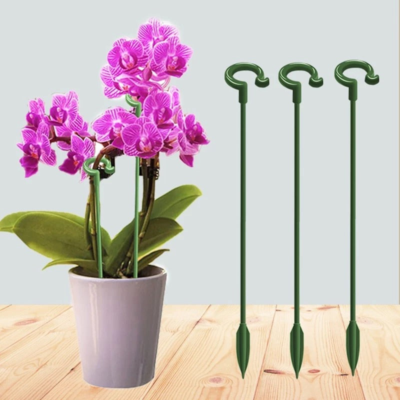10 Pcs Mini Portable Plant Holder Set