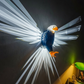 Majestic Eagle Wings Wall Lamp