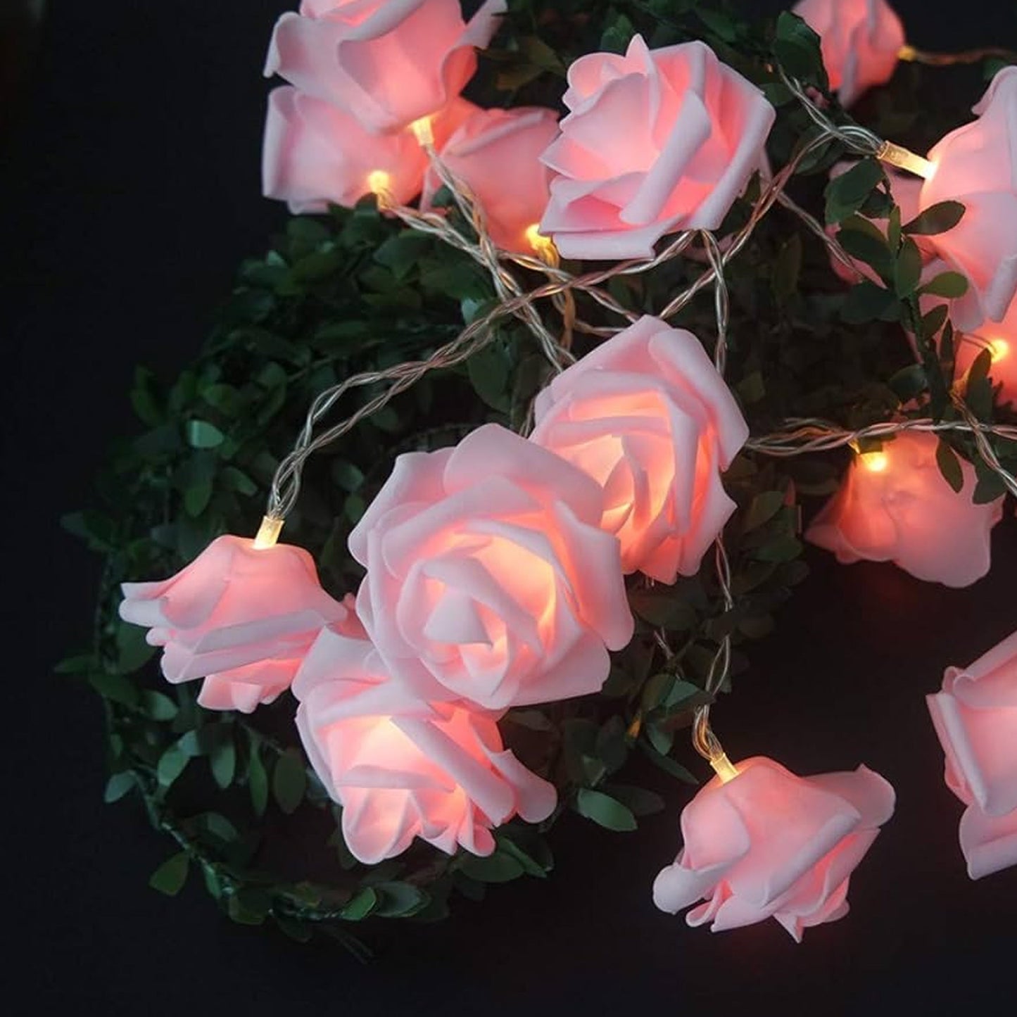 Elegant Pink Rose String Lights