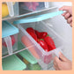 Plastic Fridge Storage Box with Lid & Handle