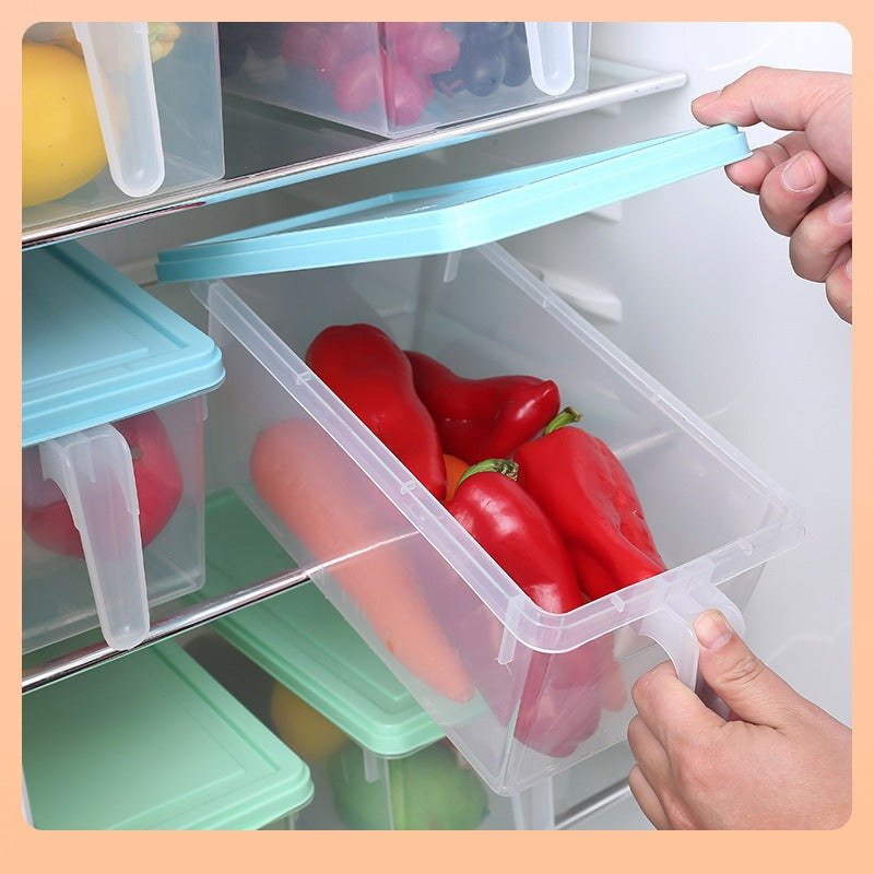 Plastic Fridge Storage Box with Lid & Handle