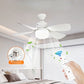 Remote Control Socket Ceiling Fan