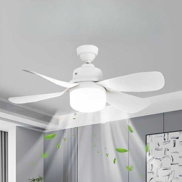 Remote Control Socket Ceiling Fan