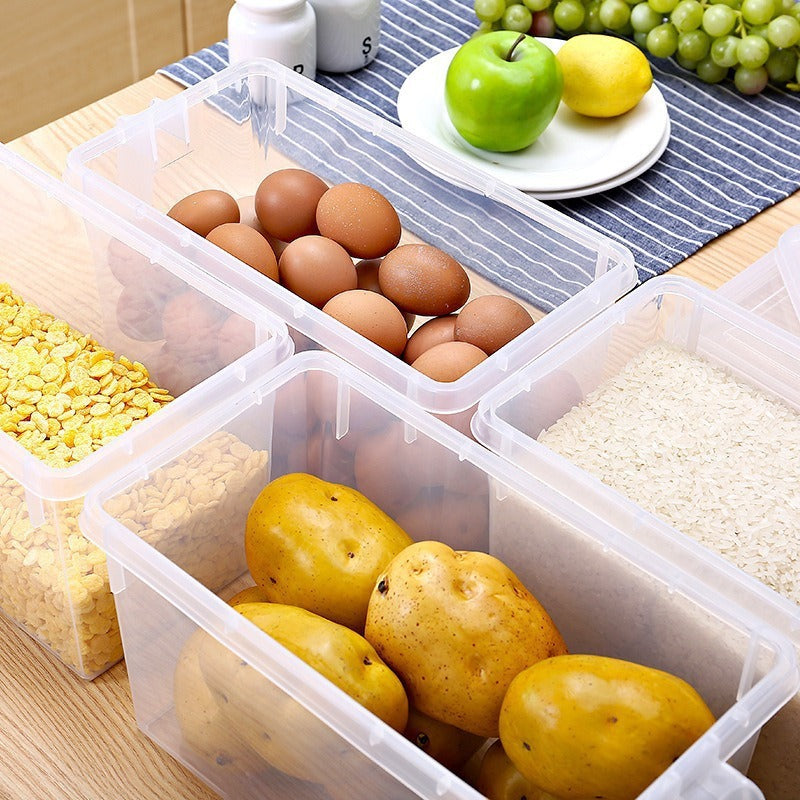 Plastic Fridge Storage Box with Lid & Handle