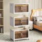3 Cabinet Double-Door Foldable Storage Organizer