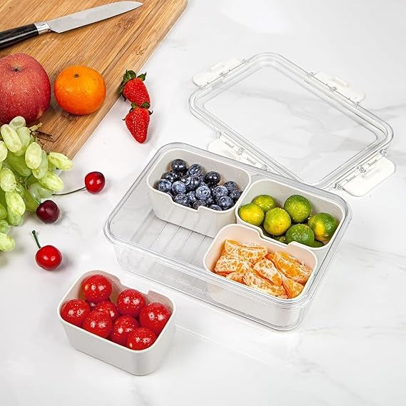 4 Compartment Snack Storage Box
