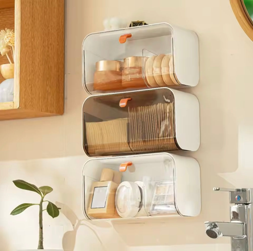 Wall Mounted Organizer With Adjustable Dividers