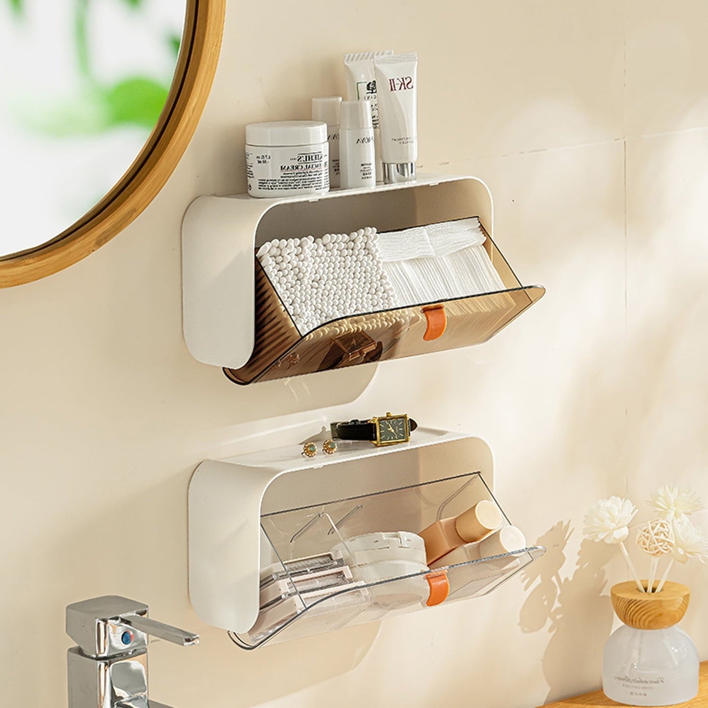 Wall Mounted Organizer With Adjustable Dividers