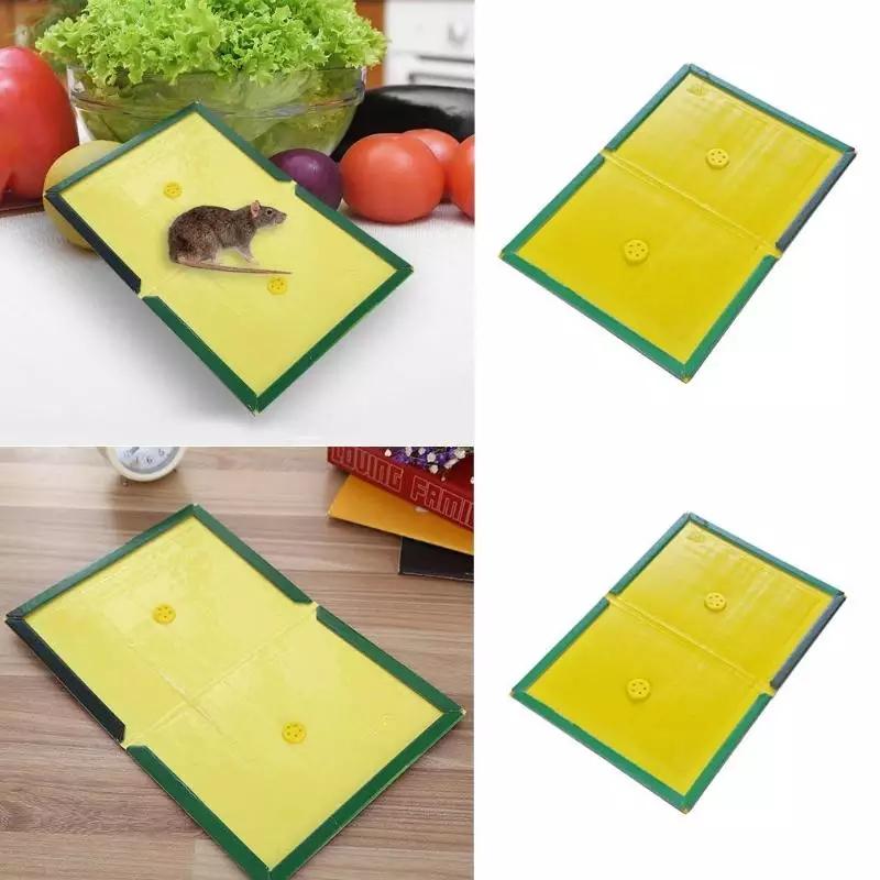 Expert Mouse Glue Trap Catcher - Sticky Board Catch Rat Glue Traps