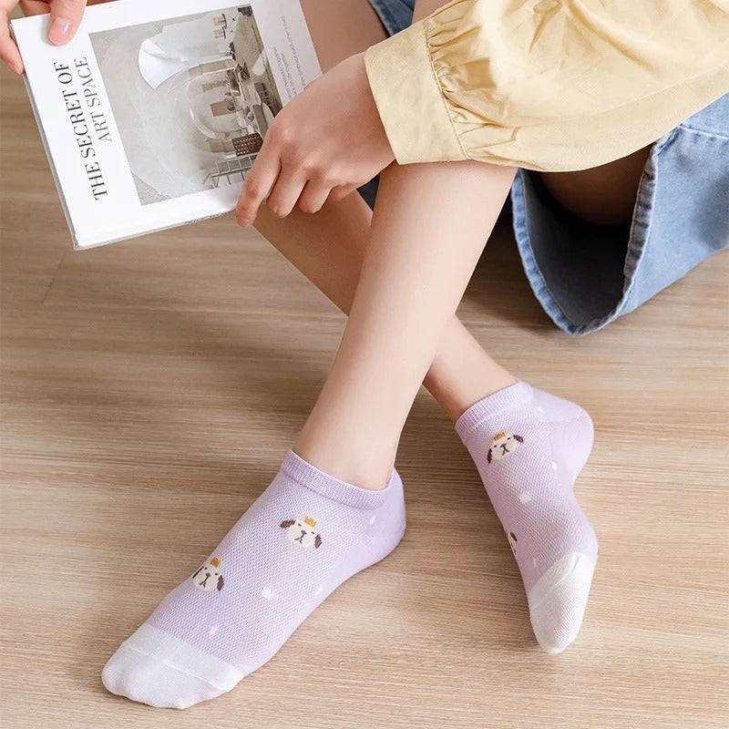 5 Pairs Women's Summer Socks